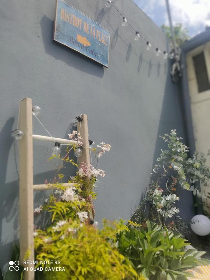 Le Cocon Des Hortillonnages D'Amiens Camon  Buitenkant foto