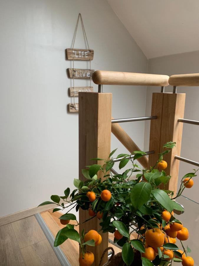 Le Cocon Des Hortillonnages D'Amiens Camon  Buitenkant foto