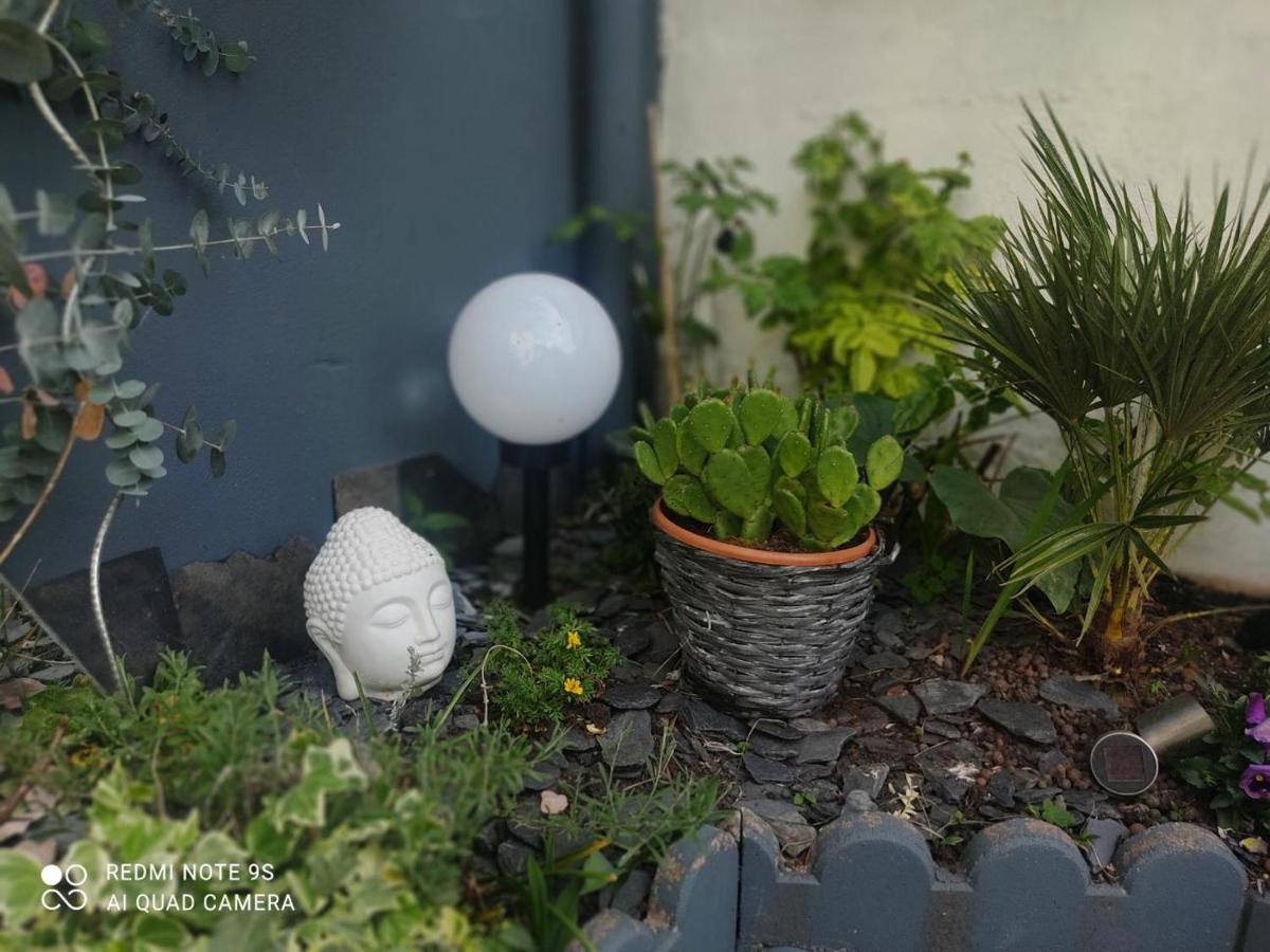 Le Cocon Des Hortillonnages D'Amiens Camon  Buitenkant foto