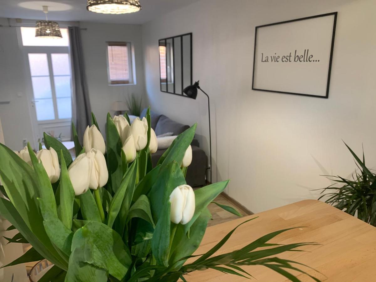 Le Cocon Des Hortillonnages D'Amiens Camon  Buitenkant foto