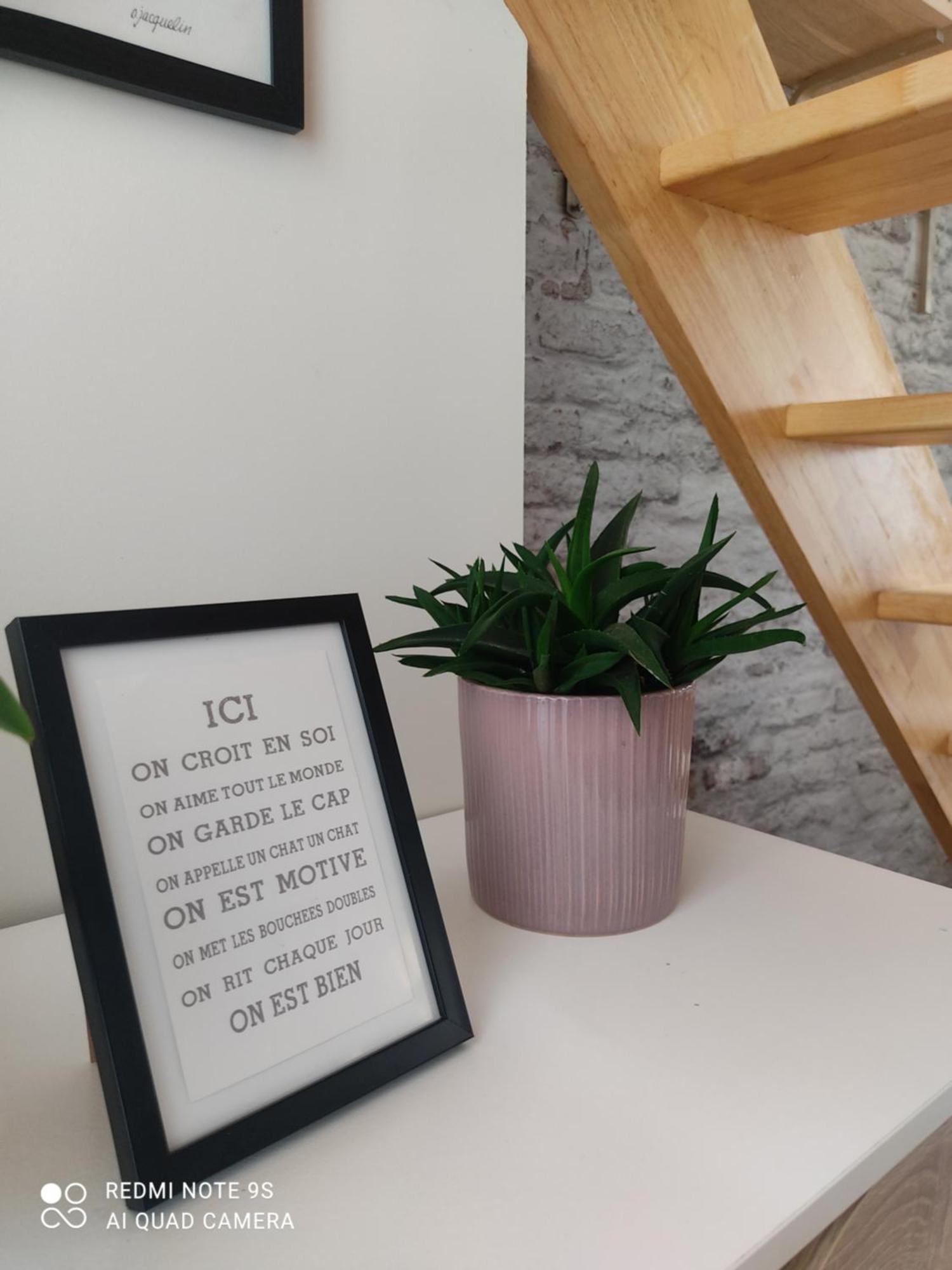 Le Cocon Des Hortillonnages D'Amiens Camon  Buitenkant foto