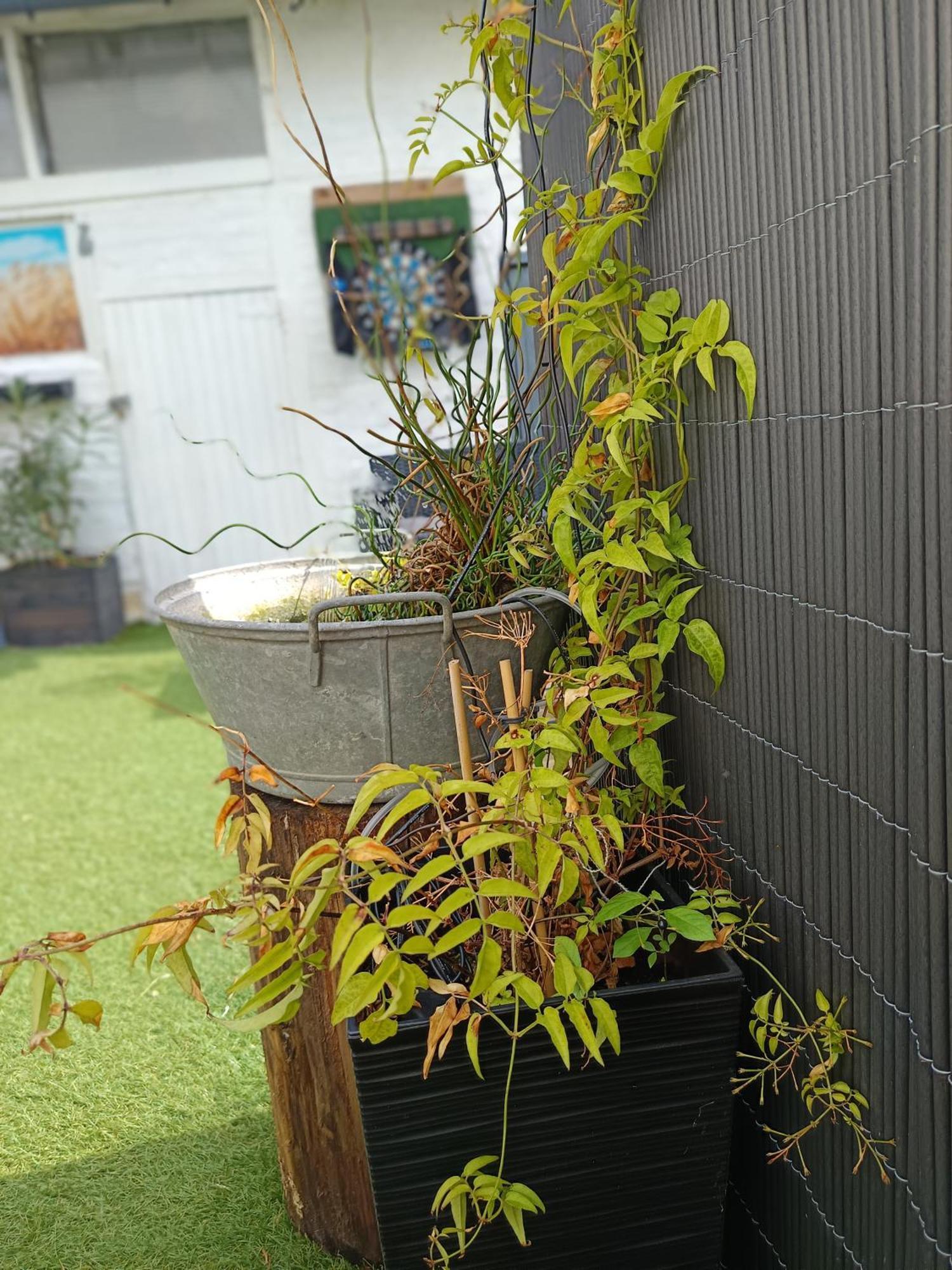 Le Cocon Des Hortillonnages D'Amiens Camon  Buitenkant foto