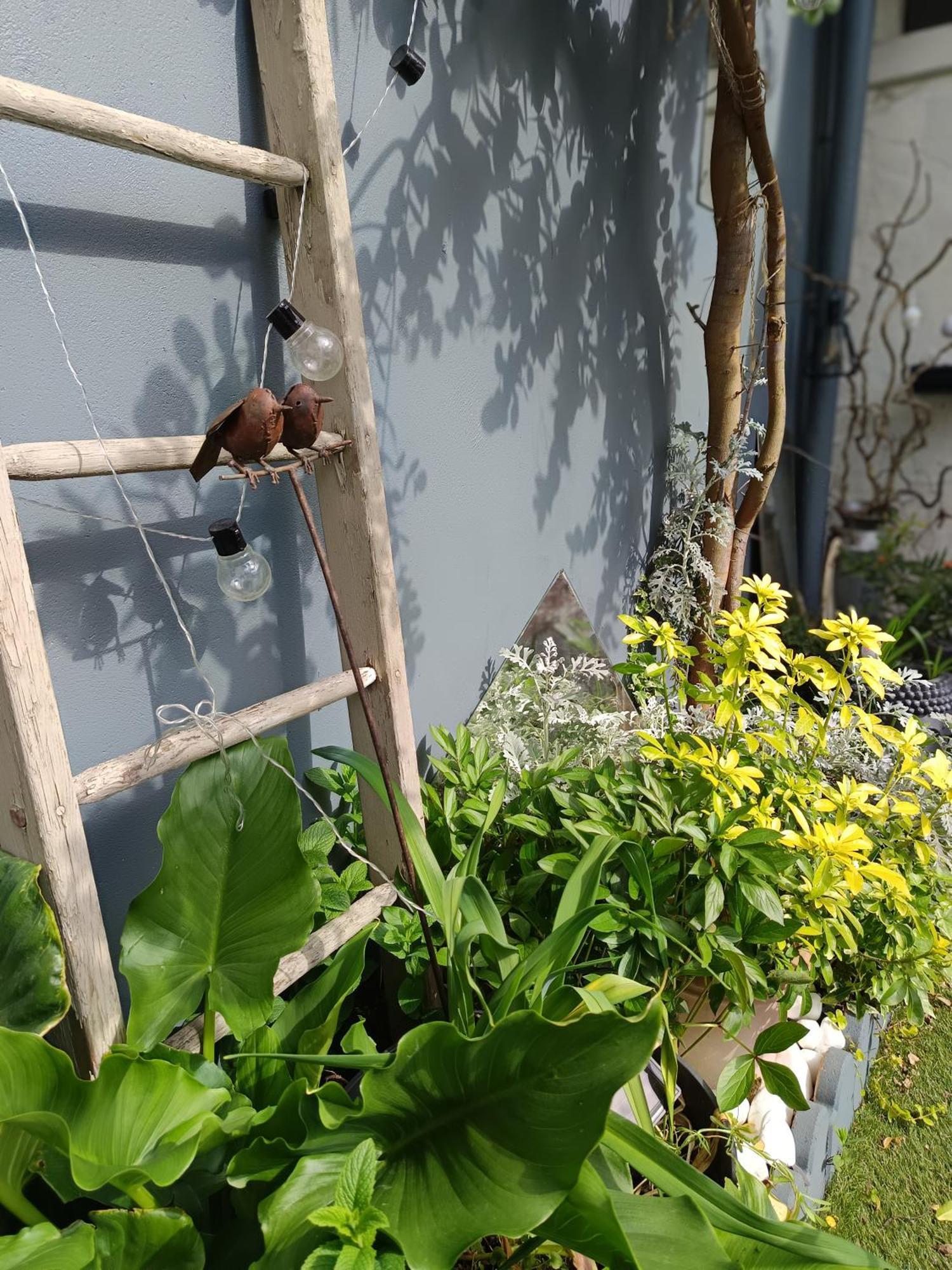 Le Cocon Des Hortillonnages D'Amiens Camon  Buitenkant foto